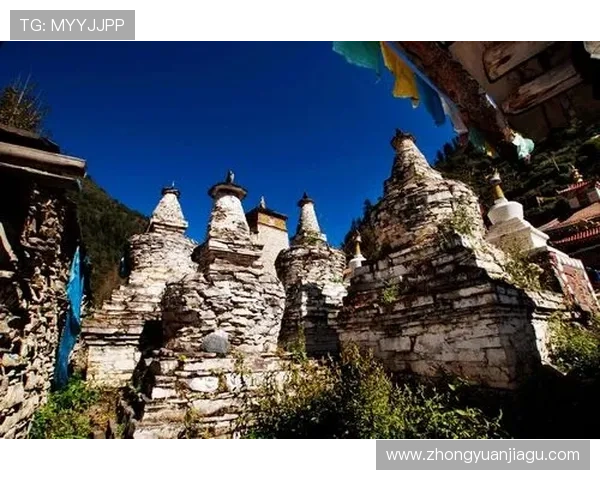 马尔康遭重罚禁赛六场引热议